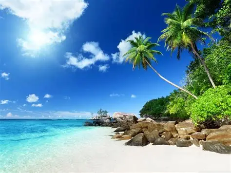 Paradise Beach