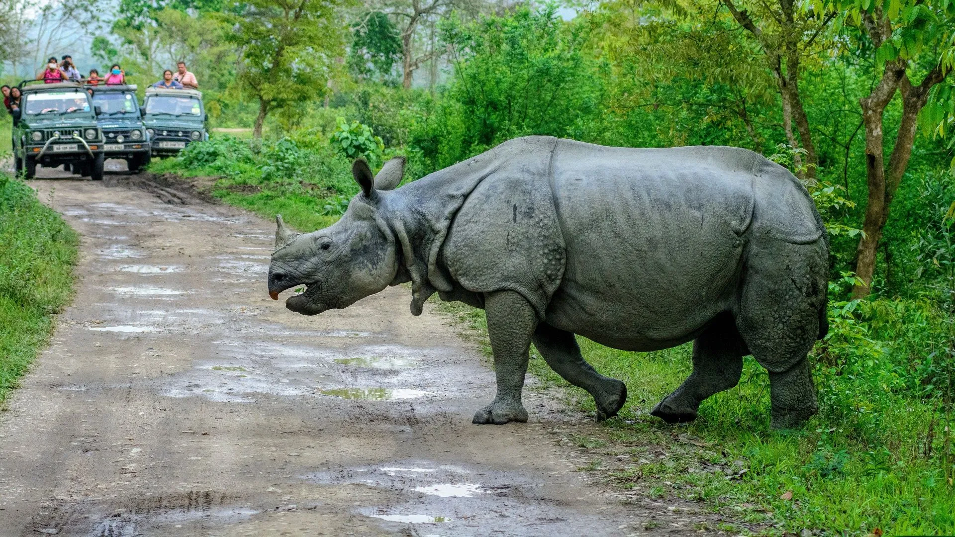 Kaziranga National Park